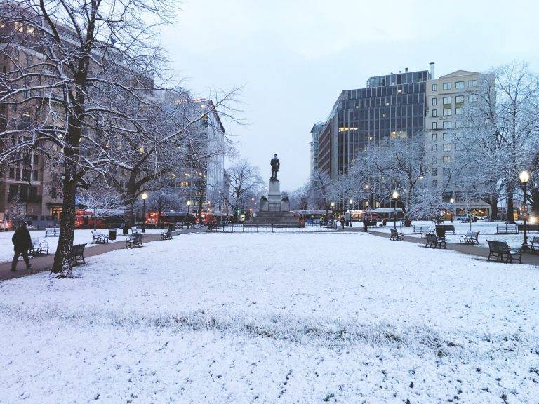 Snow in the park in Washington DC