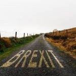 Concept of BREXIT. Road marking with the word Brexit painted on remote road a misty day